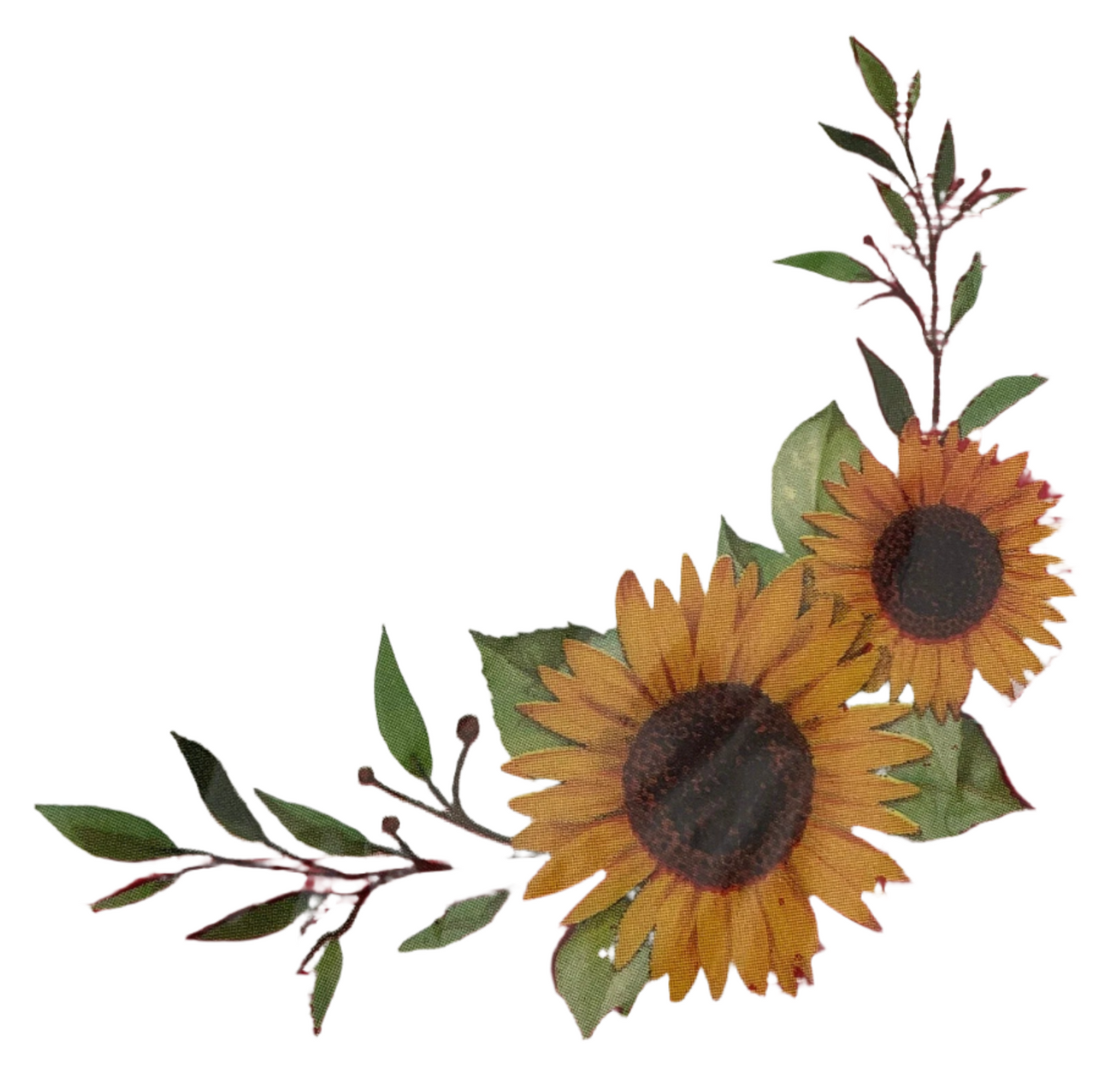 Let's Grill "Red Gingham & Sunflower" Luncheon Paper Napkins 16ct