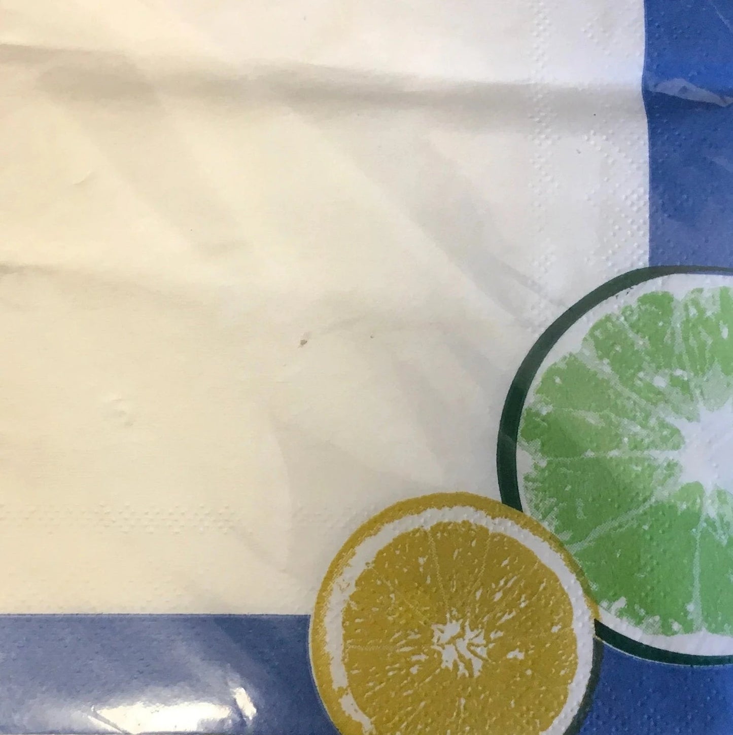 Summer Fun "Lemon and Lime" Beverage Paper Napkins 30ct