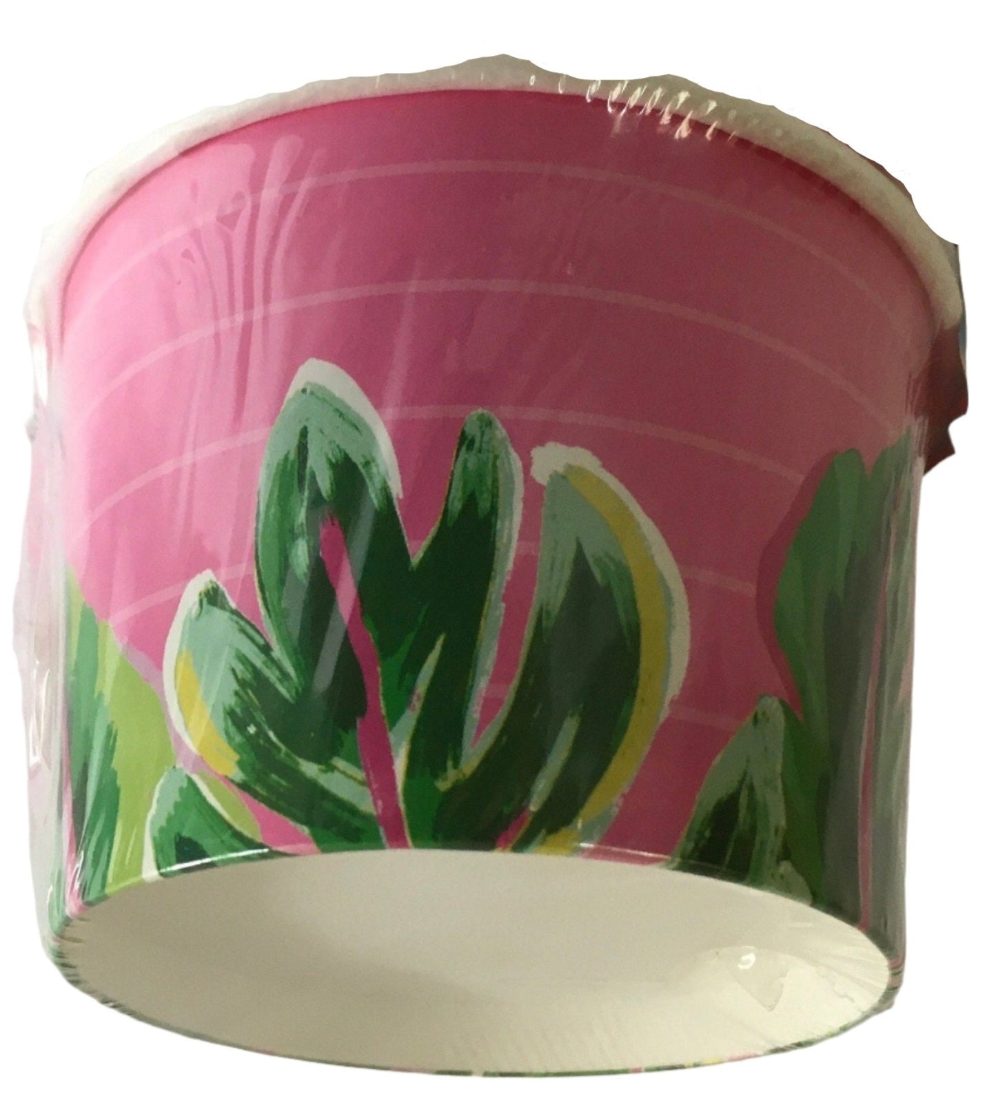 Tropical Luau "Tropical Vibes" Paper Treat Cups 6ct