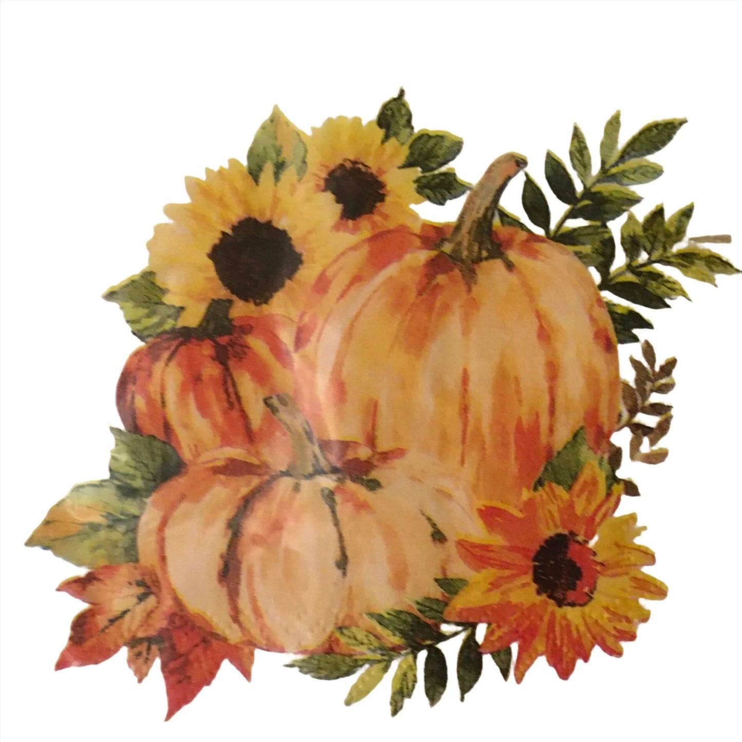 Fall & Harvest "Harvest Pumpkins" Beverage Paper Napkins 24ct