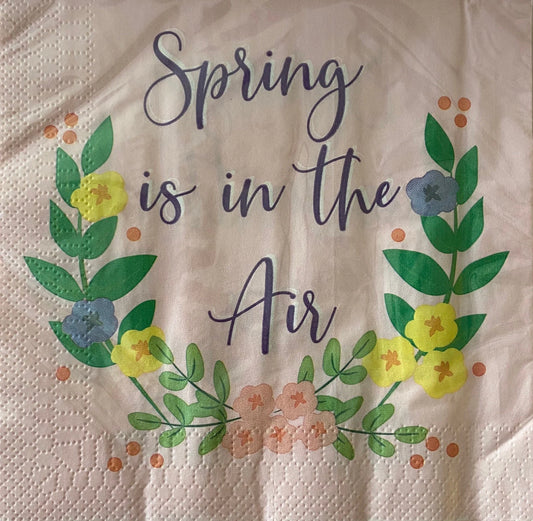 Garden Spring Fling "Spring Is in the Air" Luncheon Paper Napkins 18ct